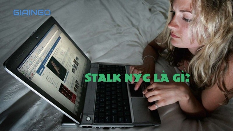 Stalk phải làm gì với New York?